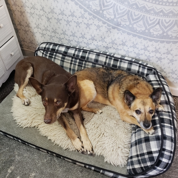 HI! 👋🏻 I'M CARLEY - Picture 8 of 8